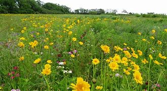 Things To Do Garrett Family Preserve